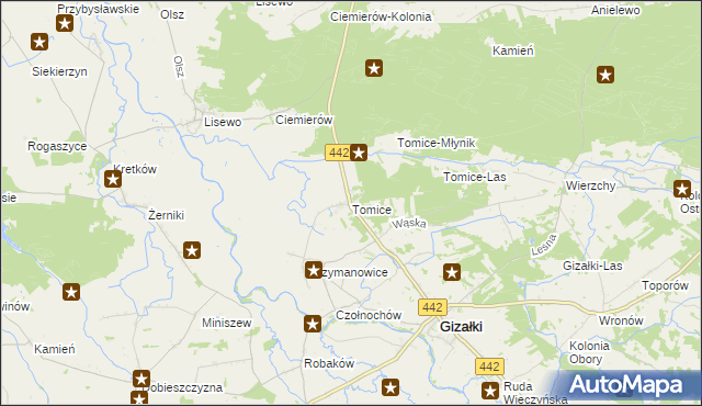 mapa Tomice gmina Gizałki, Tomice gmina Gizałki na mapie Targeo