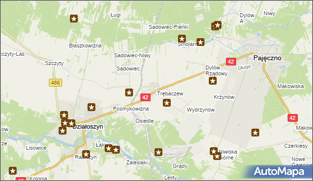 mapa Trębaczew gmina Działoszyn, Trębaczew gmina Działoszyn na mapie Targeo