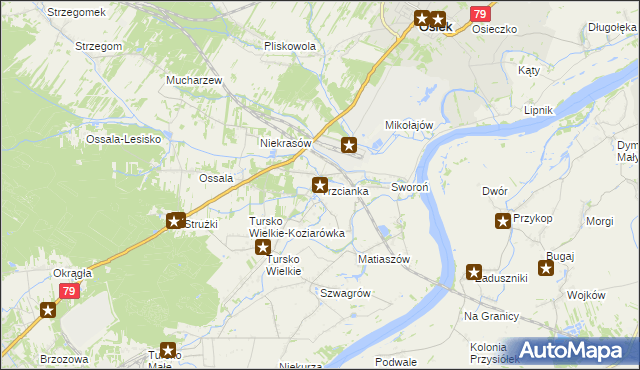 mapa Trzcianka gmina Osiek, Trzcianka gmina Osiek na mapie Targeo
