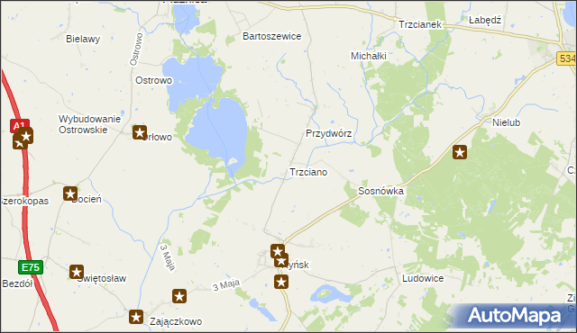 mapa Trzciano gmina Ryńsk, Trzciano gmina Ryńsk na mapie Targeo