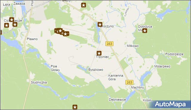 mapa Trzciniec gmina Czaplinek, Trzciniec gmina Czaplinek na mapie Targeo