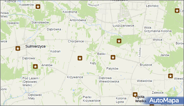 mapa Trzciniec gmina Sulmierzyce, Trzciniec gmina Sulmierzyce na mapie Targeo