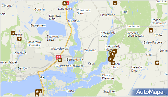 mapa Wąsosze gmina Ślesin, Wąsosze gmina Ślesin na mapie Targeo