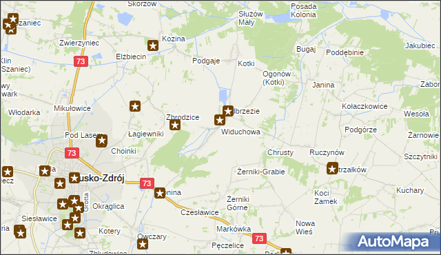 mapa Widuchowa gmina Busko-Zdrój, Widuchowa gmina Busko-Zdrój na mapie Targeo