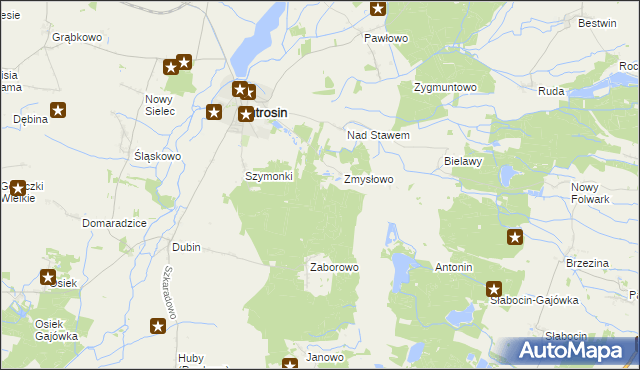 mapa Wielki Bór gmina Jutrosin, Wielki Bór gmina Jutrosin na mapie Targeo