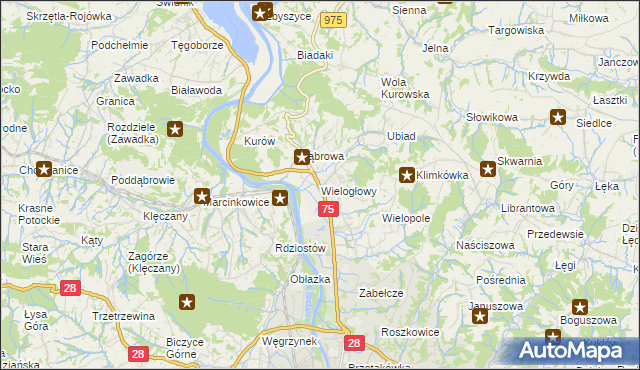 mapa Wielogłowy gmina Chełmiec, Wielogłowy gmina Chełmiec na mapie Targeo