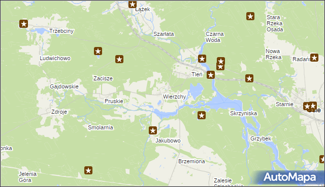 mapa Wierzchy gmina Osie, Wierzchy gmina Osie na mapie Targeo