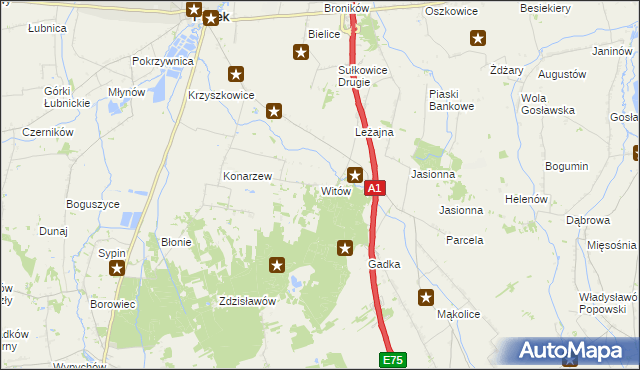 mapa Witów gmina Piątek, Witów gmina Piątek na mapie Targeo