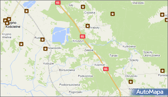 mapa Zalesie gmina Dobrzyniewo Duże, Zalesie gmina Dobrzyniewo Duże na mapie Targeo