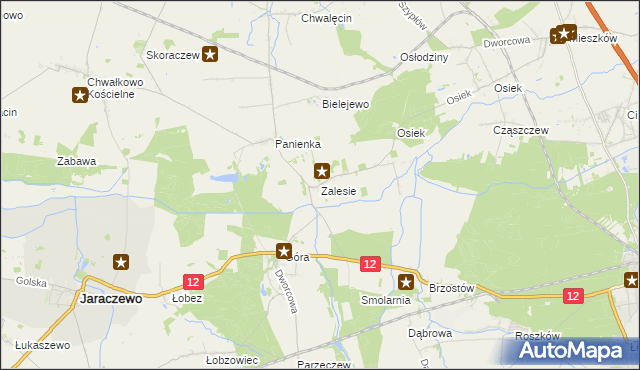 mapa Zalesie gmina Jaraczewo, Zalesie gmina Jaraczewo na mapie Targeo