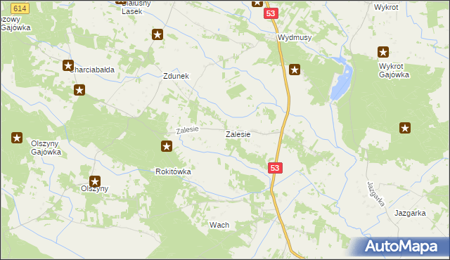 mapa Zalesie gmina Myszyniec, Zalesie gmina Myszyniec na mapie Targeo