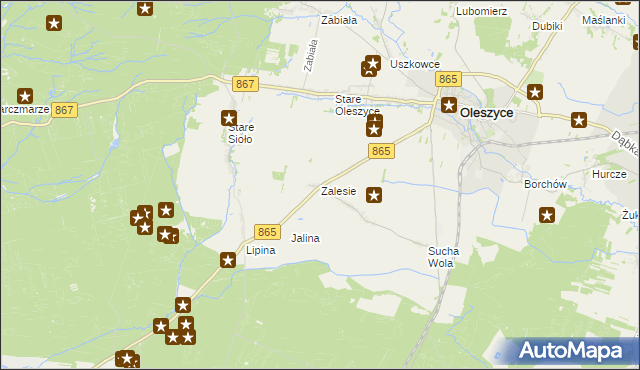 mapa Zalesie gmina Oleszyce, Zalesie gmina Oleszyce na mapie Targeo