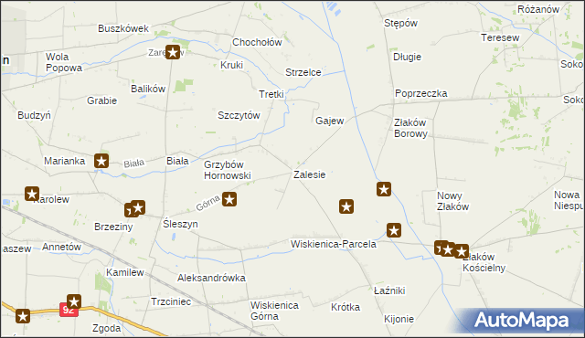 mapa Zalesie gmina Zduny, Zalesie gmina Zduny na mapie Targeo