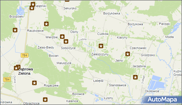 mapa Zaleszczyny gmina Dąbrowa Zielona, Zaleszczyny gmina Dąbrowa Zielona na mapie Targeo