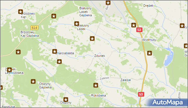 mapa Zdunek, Zdunek na mapie Targeo