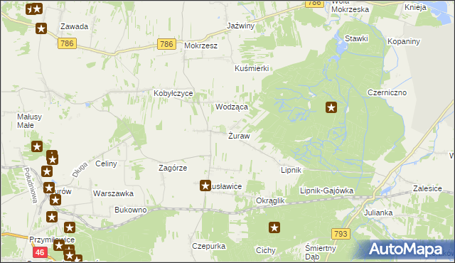 mapa Żuraw gmina Janów, Żuraw gmina Janów na mapie Targeo