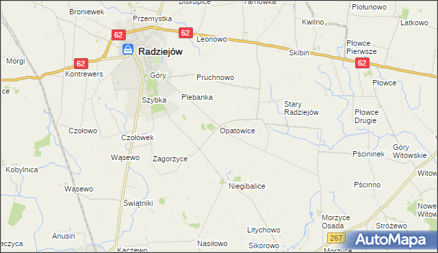 mapa Opatowice gmina Radziejów, Opatowice gmina Radziejów na mapie Targeo