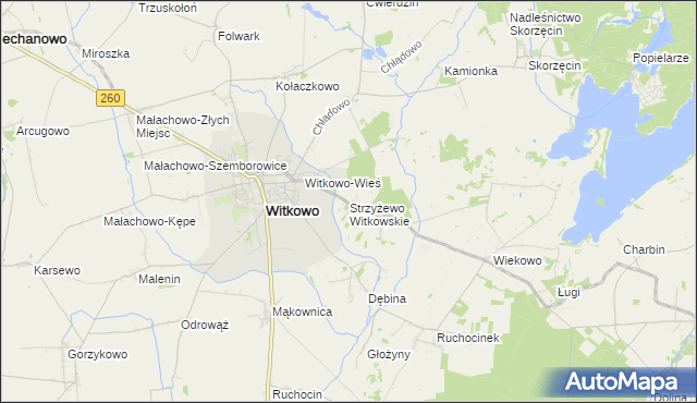 mapa Strzyżewo Witkowskie, Strzyżewo Witkowskie na mapie Targeo