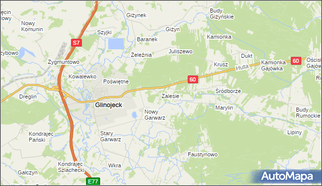 mapa Zalesie gmina Glinojeck, Zalesie gmina Glinojeck na mapie Targeo
