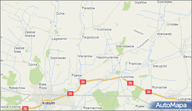 mapa Nepomucenów gmina Kobylin, Nepomucenów gmina Kobylin na mapie Targeo