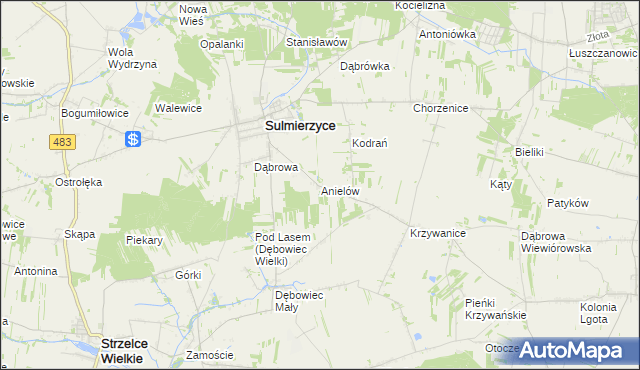 mapa Anielów gmina Sulmierzyce, Anielów gmina Sulmierzyce na mapie Targeo