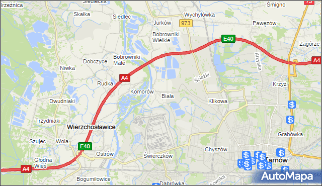 mapa Biała gmina Tarnów, Biała gmina Tarnów na mapie Targeo