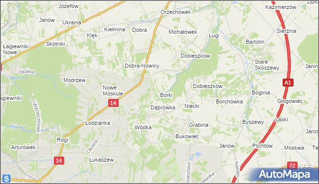 mapa Borki gmina Nowosolna, Borki gmina Nowosolna na mapie Targeo