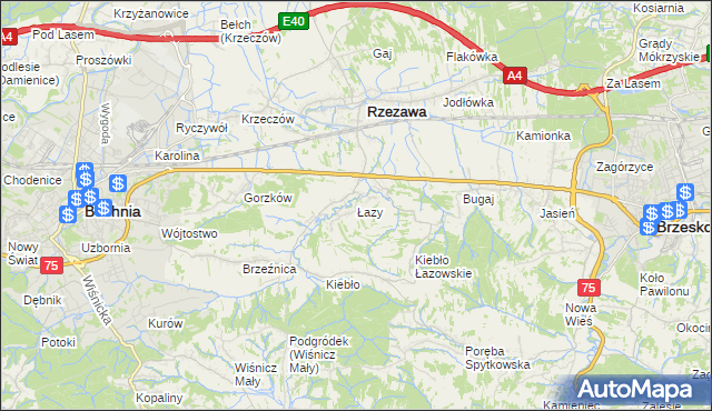 mapa Łazy gmina Rzezawa, Łazy gmina Rzezawa na mapie Targeo
