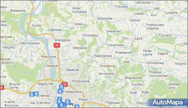 mapa Naściszowa, Naściszowa na mapie Targeo