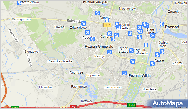mapa Raszyn gmina Poznań, Raszyn gmina Poznań na mapie Targeo