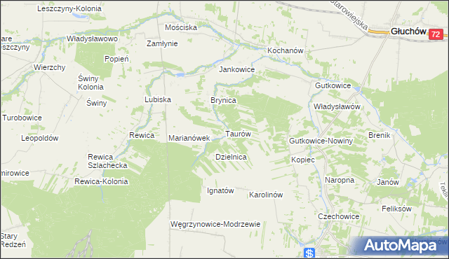 mapa Taurów, Taurów na mapie Targeo