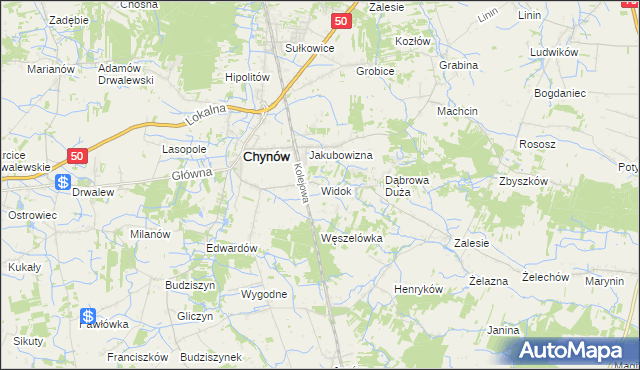 mapa Widok gmina Chynów, Widok gmina Chynów na mapie Targeo