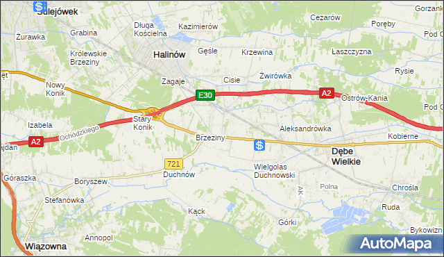mapa Wielgolas Brzeziński, Wielgolas Brzeziński na mapie Targeo