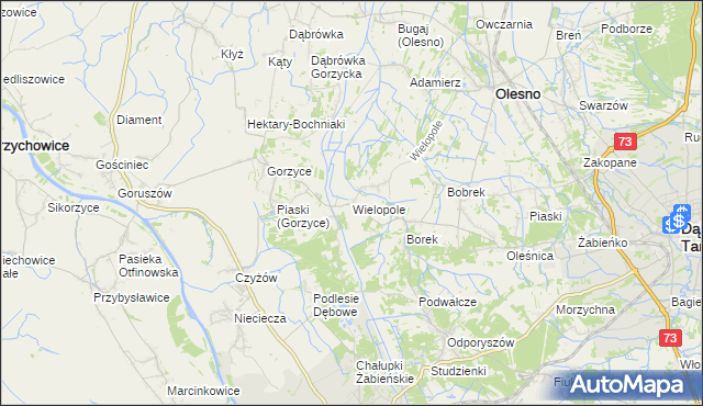 mapa Wielopole gmina Olesno, Wielopole gmina Olesno na mapie Targeo