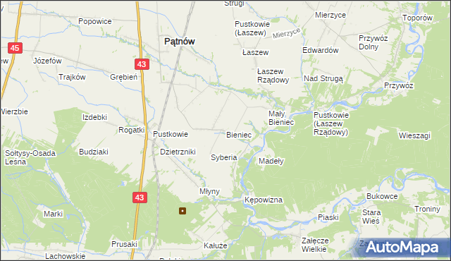 mapa Bieniec gmina Pątnów, Bieniec gmina Pątnów na mapie Targeo