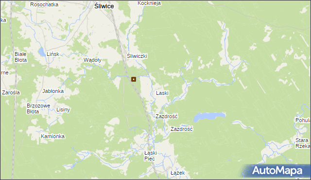 mapa Laski gmina Śliwice, Laski gmina Śliwice na mapie Targeo