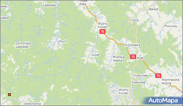 mapa Łosie gmina Łabowa, Łosie gmina Łabowa na mapie Targeo