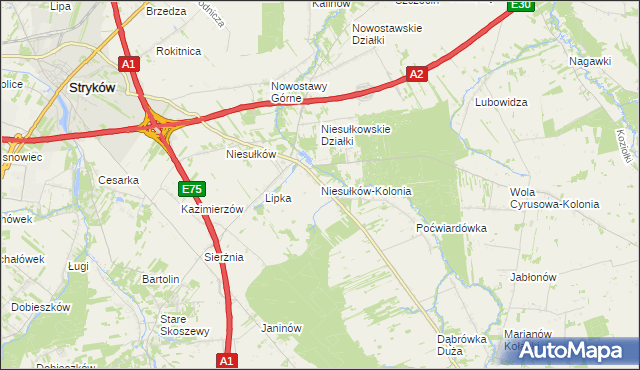 mapa Niesułków-Kolonia, Niesułków-Kolonia na mapie Targeo