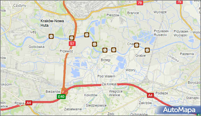 mapa Brzegi gmina Wieliczka, Brzegi gmina Wieliczka na mapie Targeo