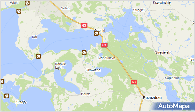 mapa Dziaduszyn, Dziaduszyn na mapie Targeo