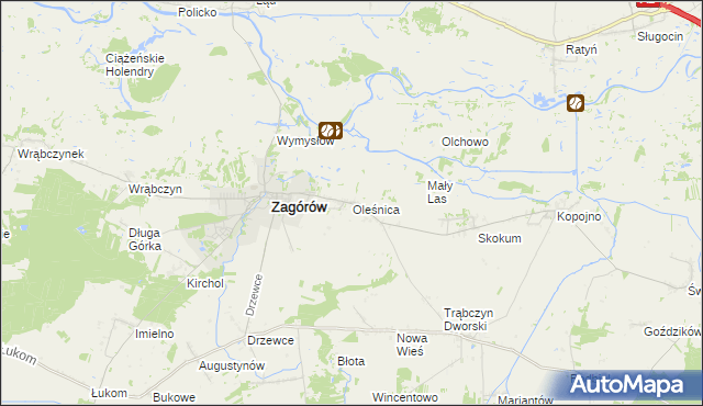 mapa Oleśnica gmina Zagórów, Oleśnica gmina Zagórów na mapie Targeo