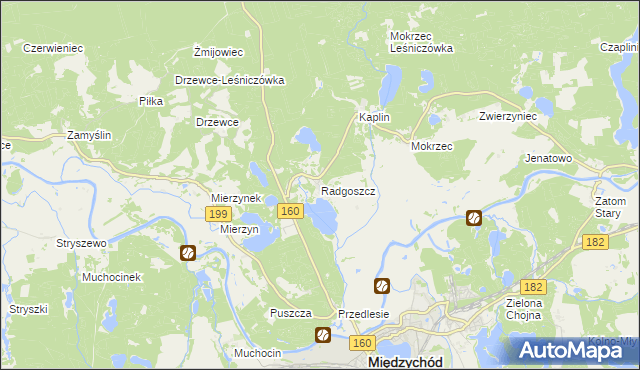 mapa Radgoszcz gmina Międzychód, Radgoszcz gmina Międzychód na mapie Targeo