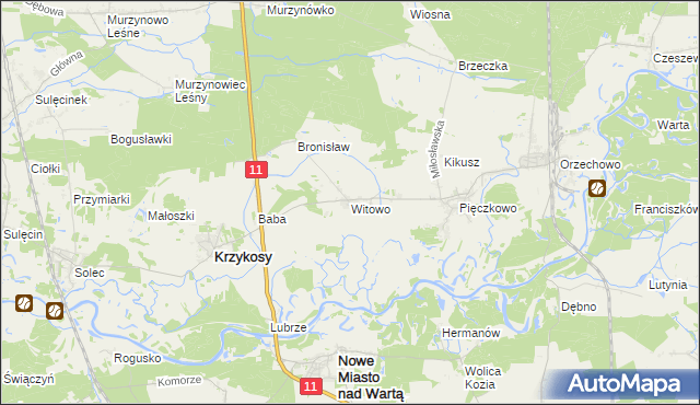 mapa Witowo gmina Krzykosy, Witowo gmina Krzykosy na mapie Targeo