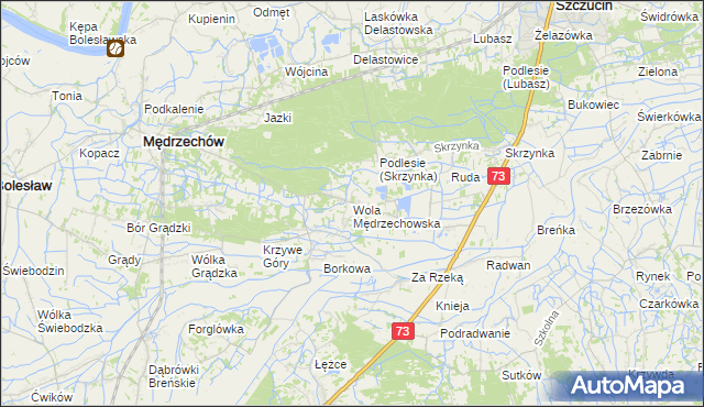 mapa Wola Mędrzechowska, Wola Mędrzechowska na mapie Targeo