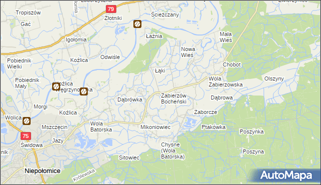 mapa Zabierzów Bocheński, Zabierzów Bocheński na mapie Targeo