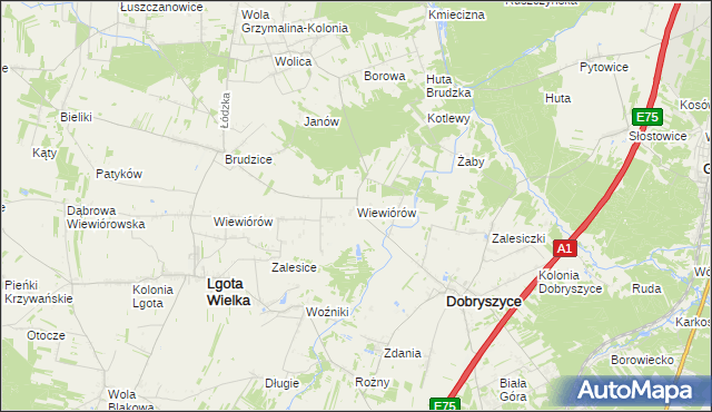 mapa Wiewiórów gmina Dobryszyce, Wiewiórów gmina Dobryszyce na mapie Targeo