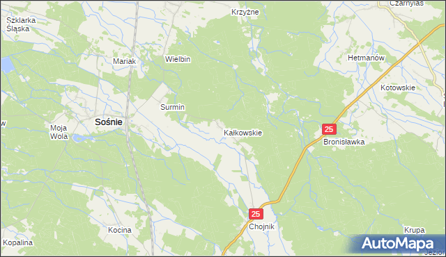 mapa Kałkowskie, Kałkowskie na mapie Targeo