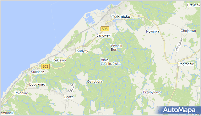 mapa Biała Leśniczówka gmina Tolkmicko, Biała Leśniczówka gmina Tolkmicko na mapie Targeo