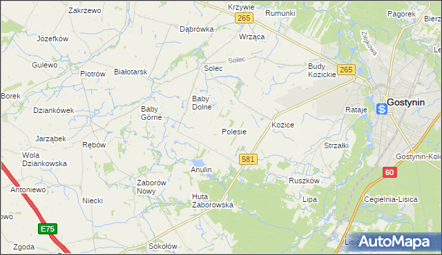 mapa Polesie gmina Gostynin, Polesie gmina Gostynin na mapie Targeo