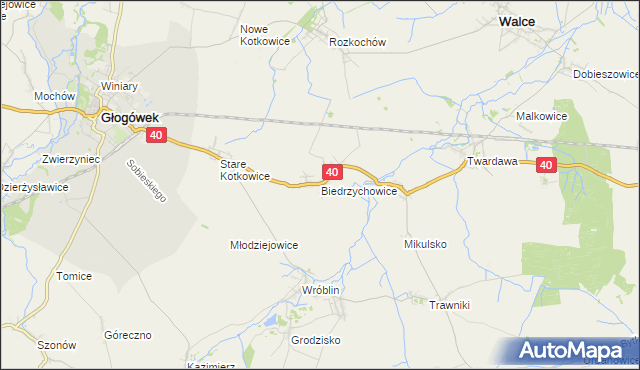 mapa Biedrzychowice gmina Głogówek, Biedrzychowice gmina Głogówek na mapie Targeo